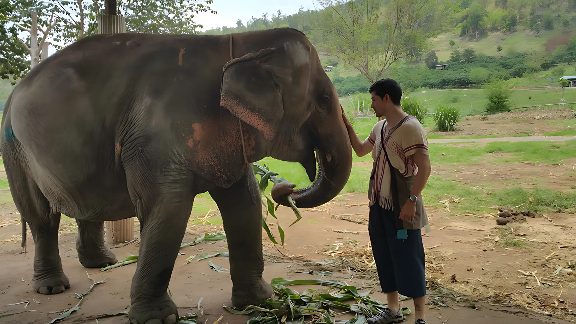 Conexión en Tailandia