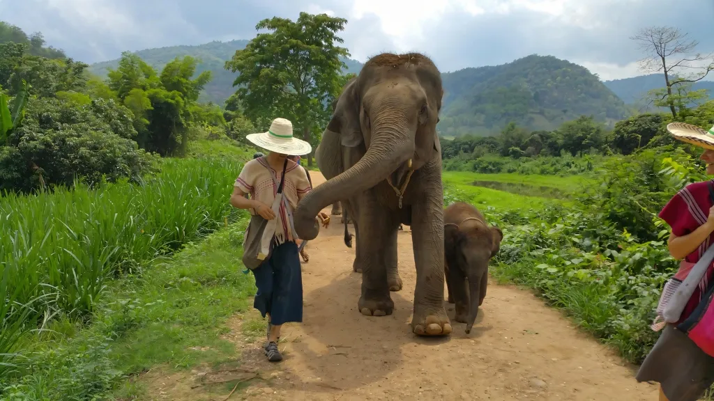 Tu Pasaporte a<br/>lo <span style='font-style: italic;'>Auténtico</span>