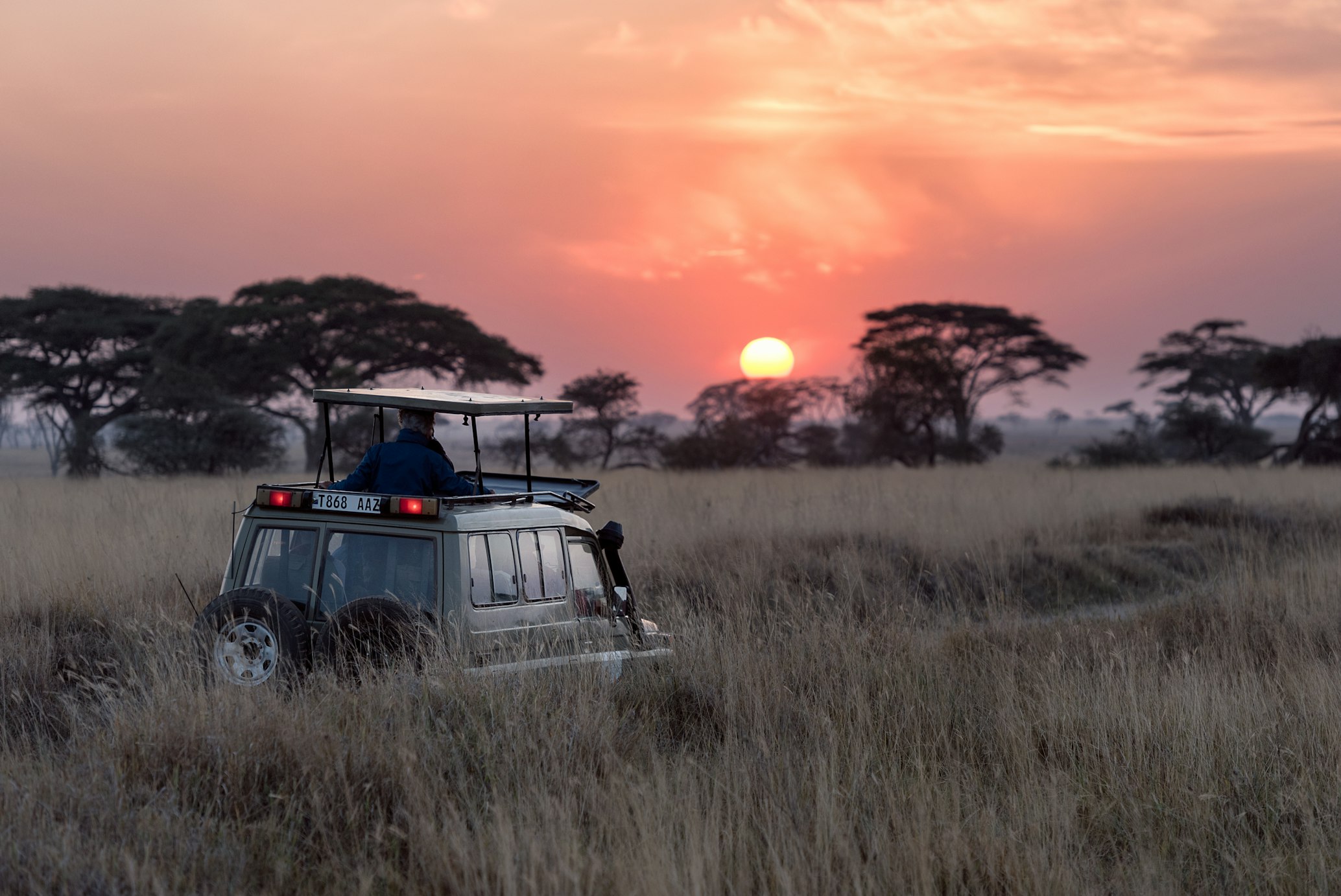 Tanzania: El Teatro de la Naturaleza